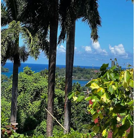 Angelaspalace Hotel Port Antonio Exterior foto