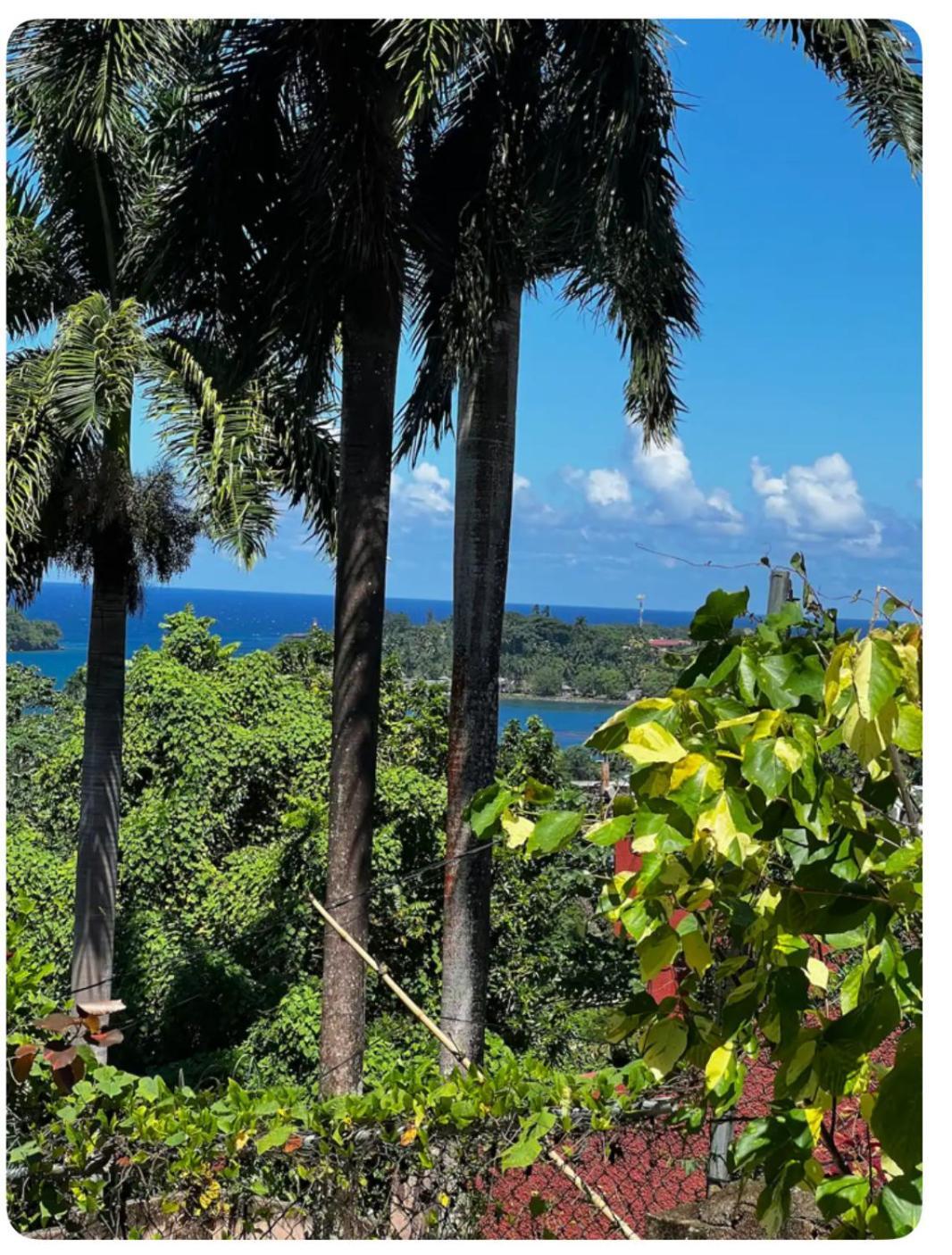 Angelaspalace Hotel Port Antonio Exterior foto